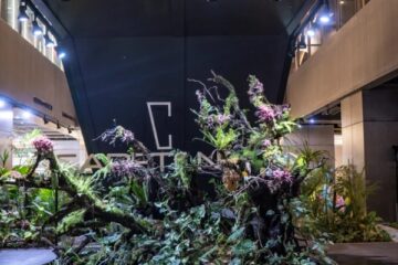 The Art of Wellness: Menghadirkan Keseimbangan di Tengah Hiruk Pikuk Kota